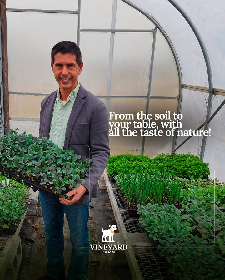 475354002_17943397460945331_3138692544293788965_n