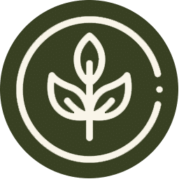 Vineyard%20Farm