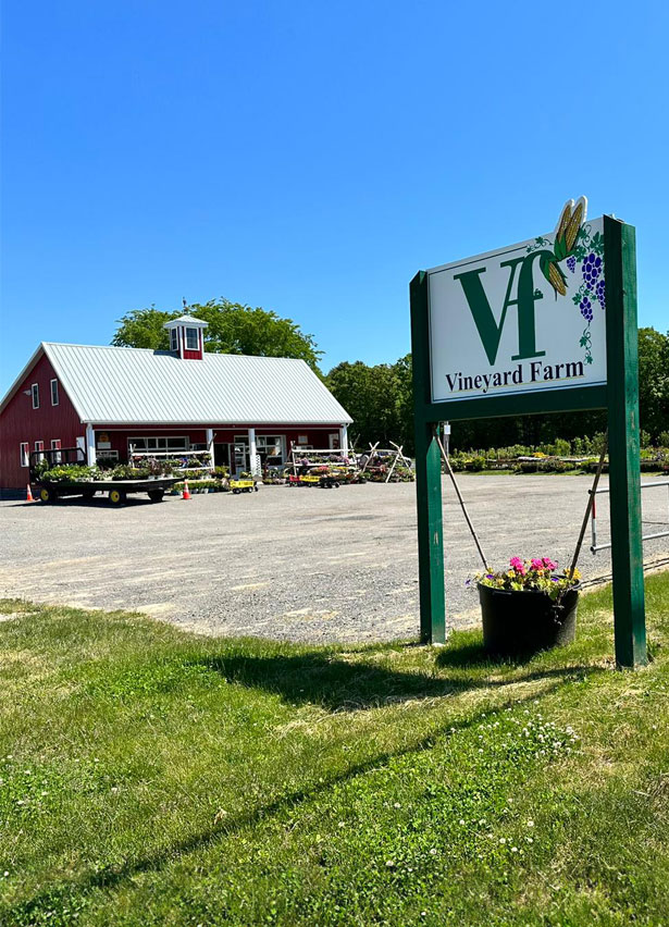 Vineyard%20Farm