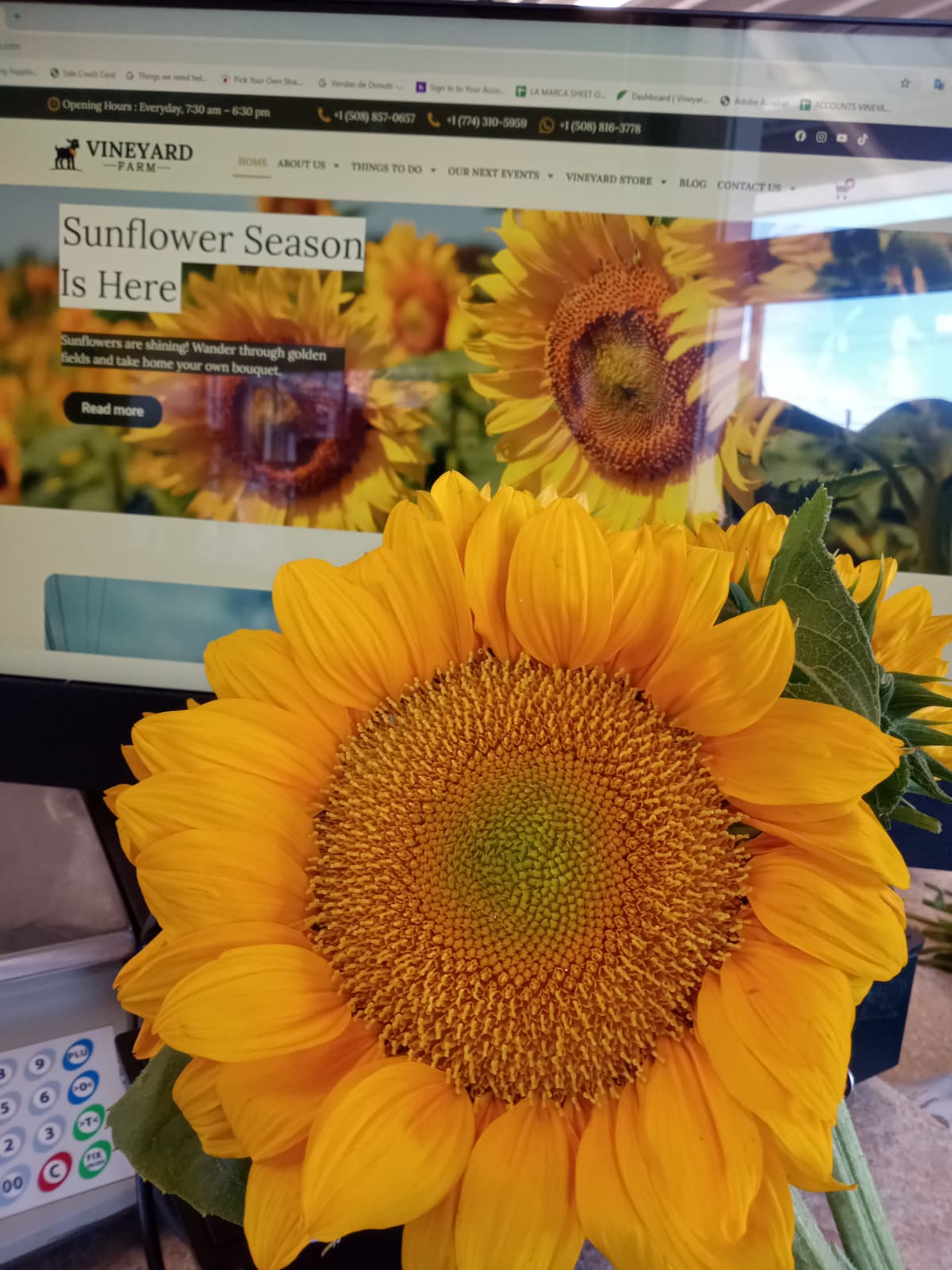 Imagem do WhatsApp de 2025-07-23 à(s) 11.51.52_124efb79