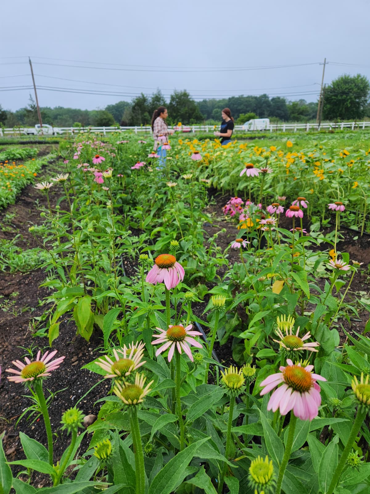 PHOTO-2025-07-11-07-56-40 2