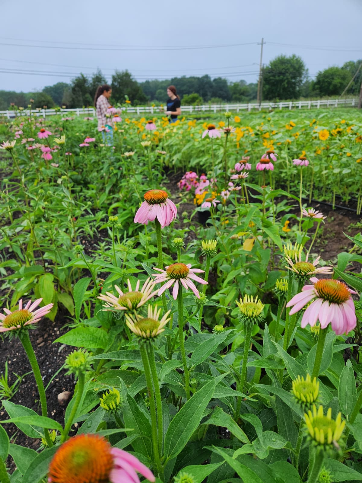 PHOTO-2025-07-11-07-56-40 3