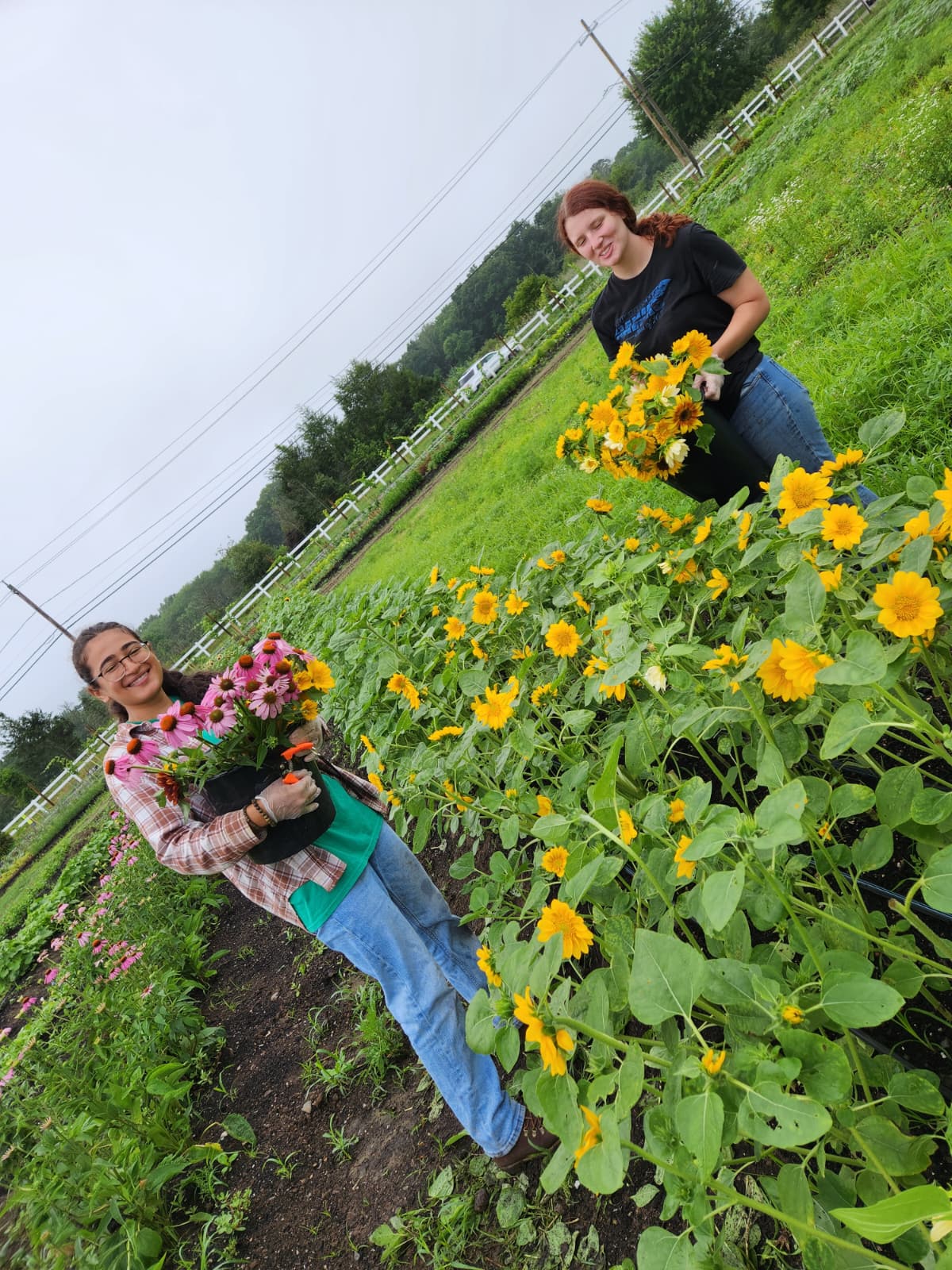 PHOTO-2025-07-11-10-29-00 2