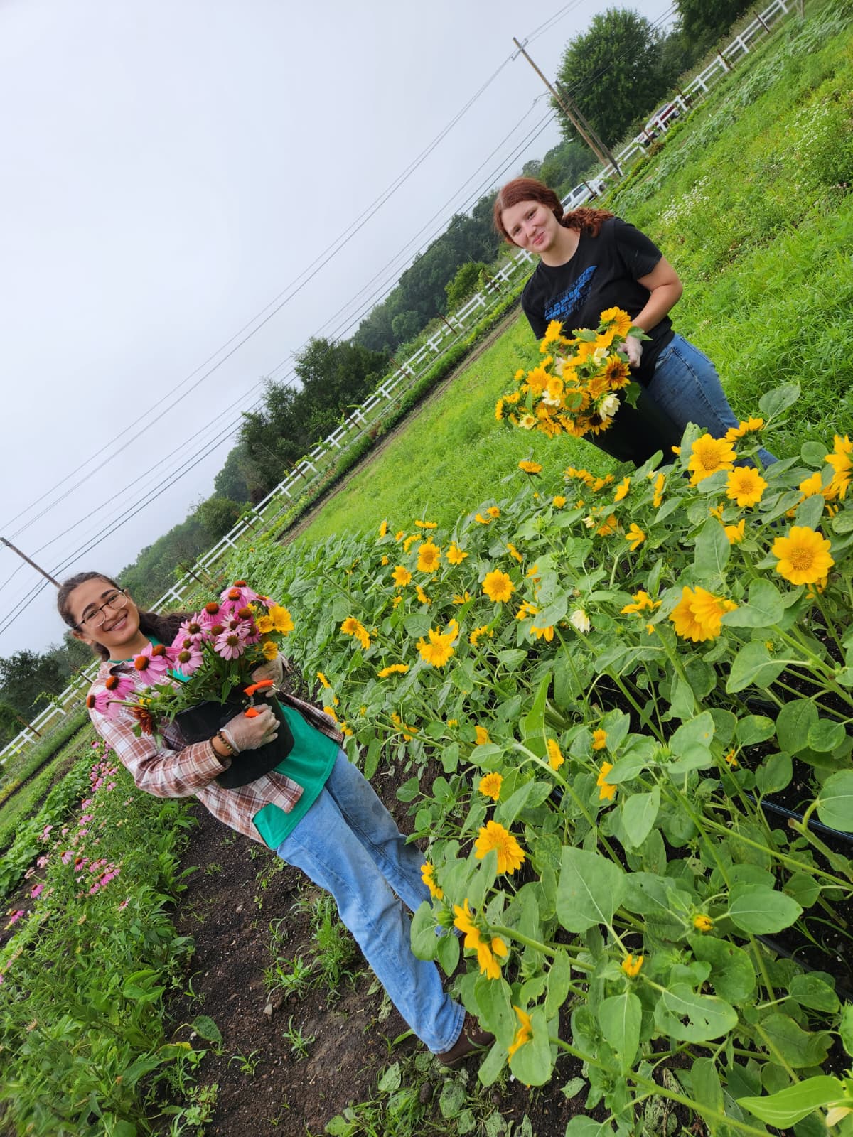 PHOTO-2025-07-11-10-29-00 3