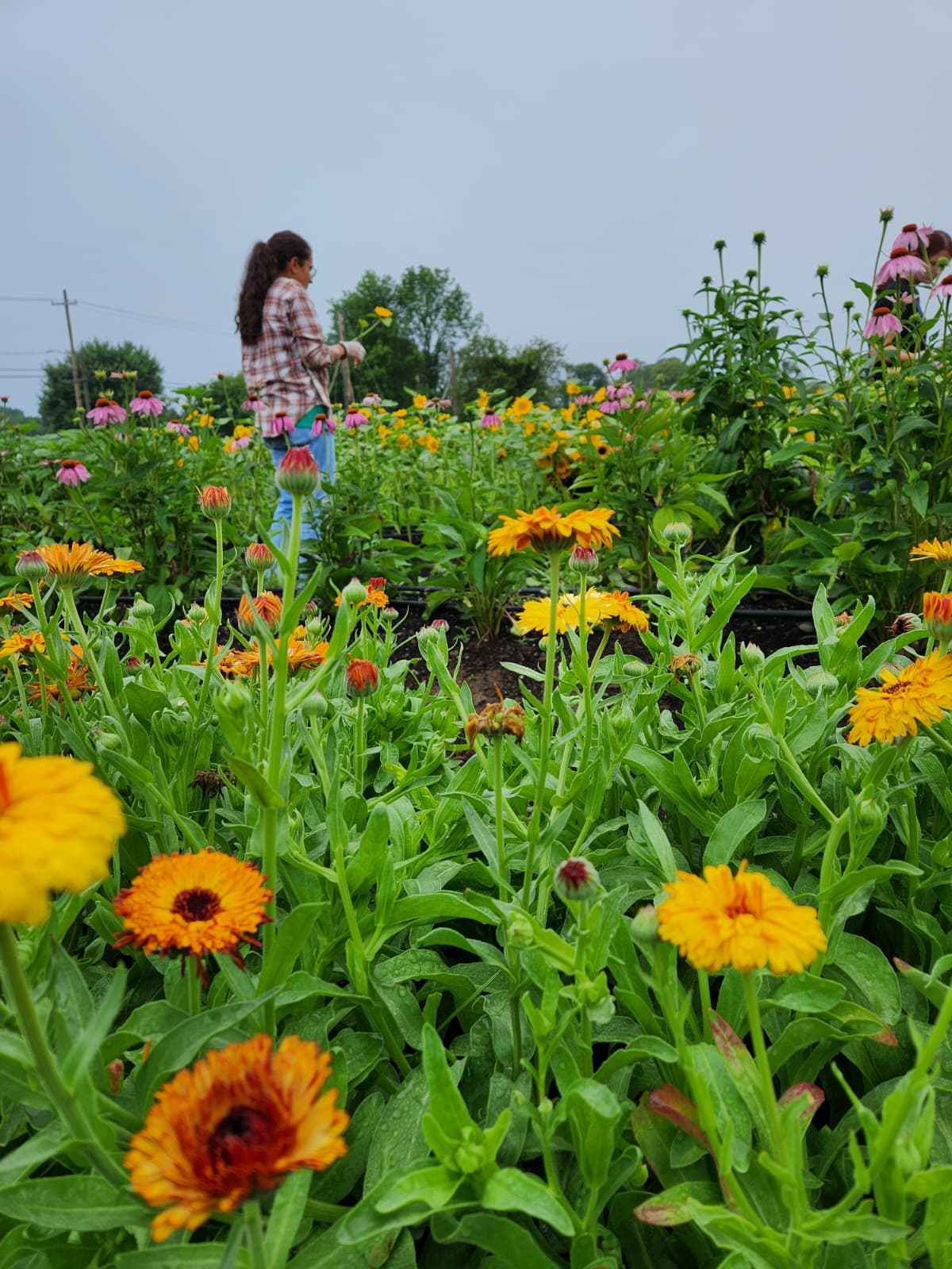 PHOTO-2025-07-11-10-29-00 4