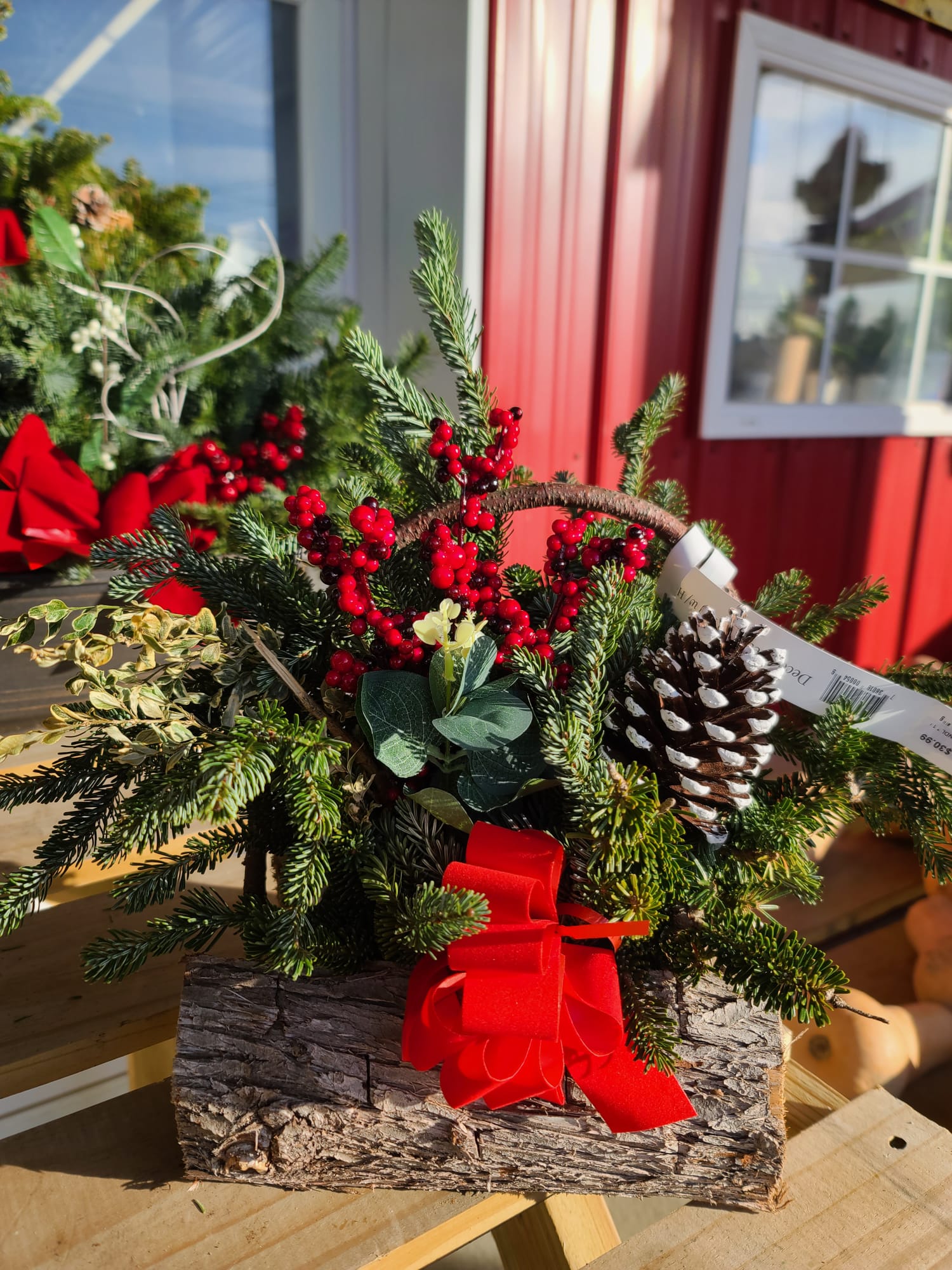 Imagem do WhatsApp de 2023-12-01 à(s) 08.55.36_a17ef7e8