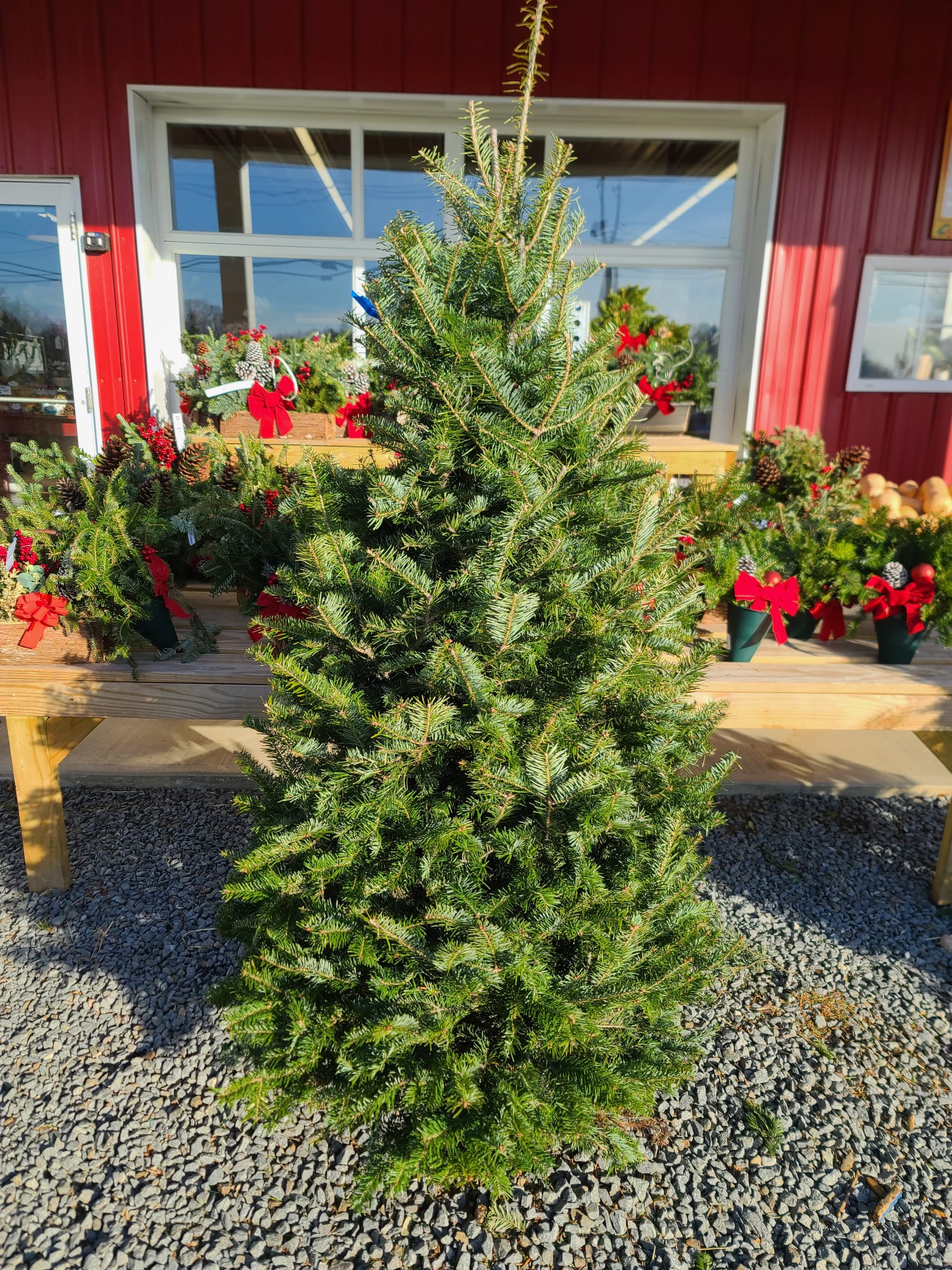 Imagem do WhatsApp de 2023-12-01 à(s) 08.55.38_72315c56 (1)