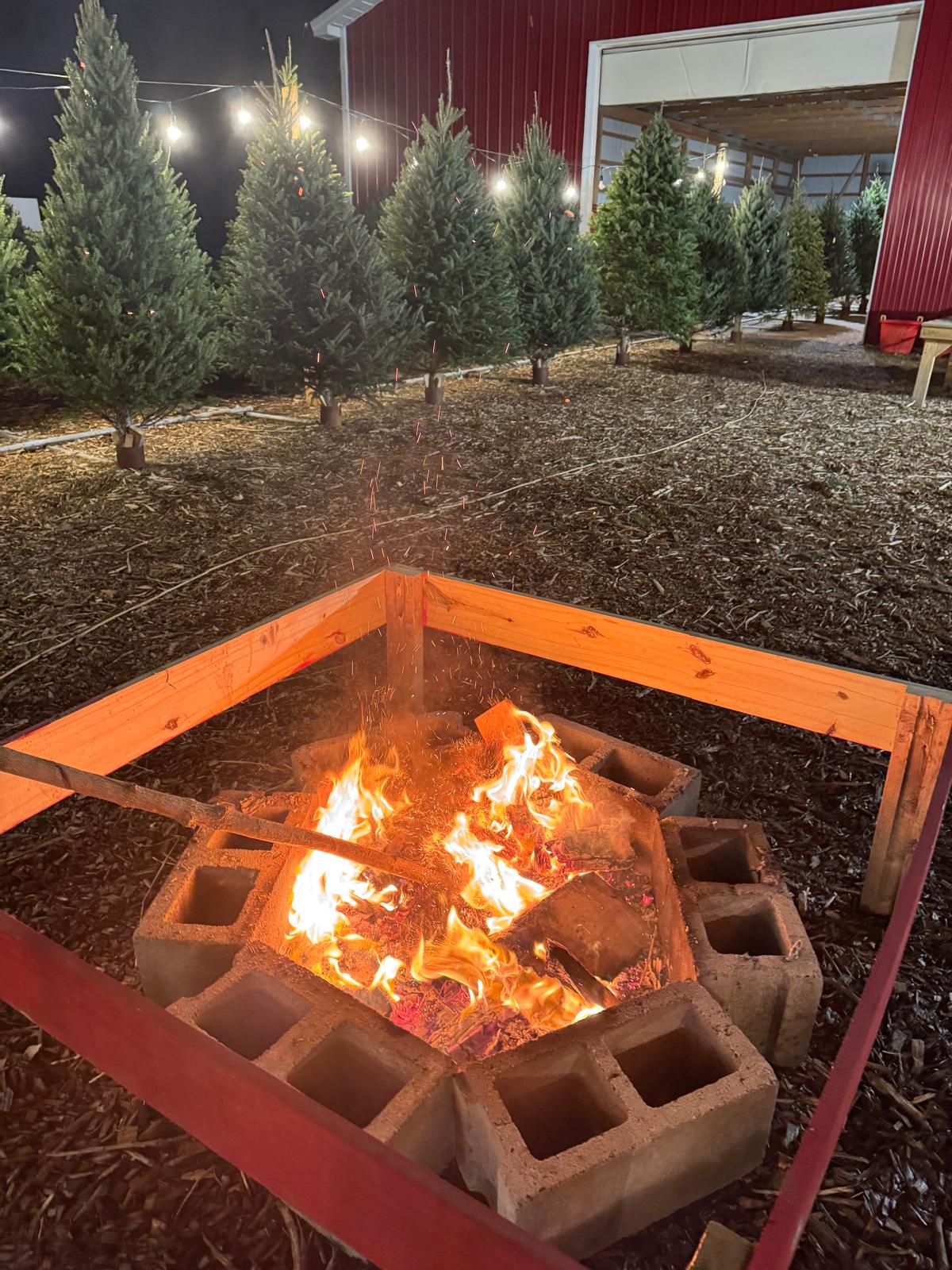 Imagem do WhatsApp de 2025-11-07 à(s) 15.58.55_00a2b123