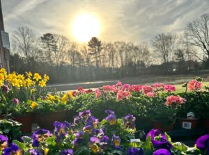 Peaceful farm scenery in Bridgewater Massachusetts