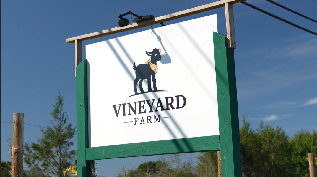 Vineyard%20Farm