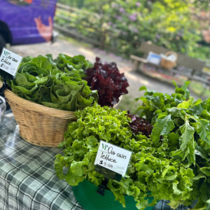 Vegetables