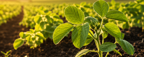 Food produced with care and respect for nature
